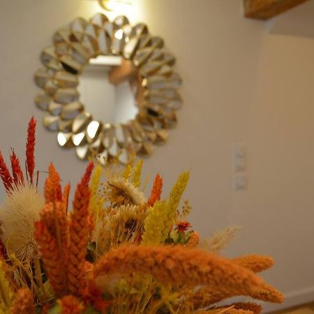 Charmant Appartement - Proche Chateau Cite Carcassonne Eksteriør bilde