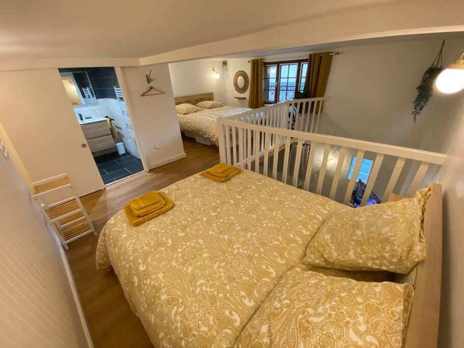 Charmant Appartement - Proche Chateau Cite Carcassonne Eksteriør bilde