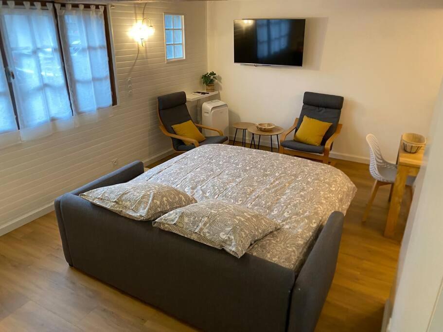 Charmant Appartement - Proche Chateau Cite Carcassonne Eksteriør bilde