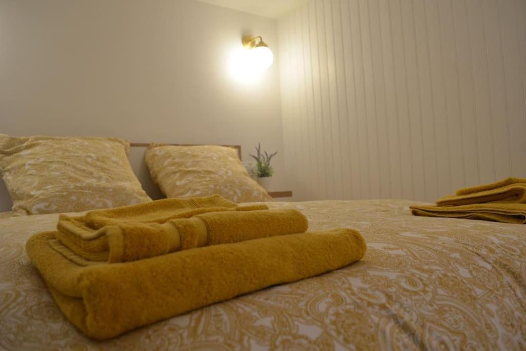 Charmant Appartement - Proche Chateau Cite Carcassonne Eksteriør bilde